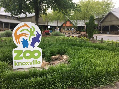 Zoo knoxville - Not your typical carousel, Zoo Knoxville’s Fuzzy-Go-Round is a colorful collection of animals from all over the world. Take a spin on your favorite species! ACTIVITY DETAILS. Open Year-Round (Weather Permitting) $4.00 per Ride, $2.00 for Annual Passholders 